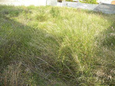 Terreno residenziale in vendita a Caravaca de la Cruz