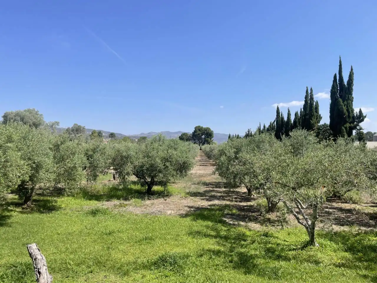 Casa o chalet en venta en Móra d'Ebre con Aire acondicionado, Calefacción y Jardín privado