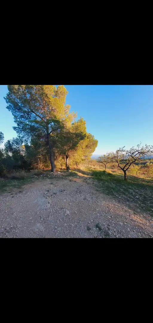 Casa en venta en Móra d'Ebre, imagen 11