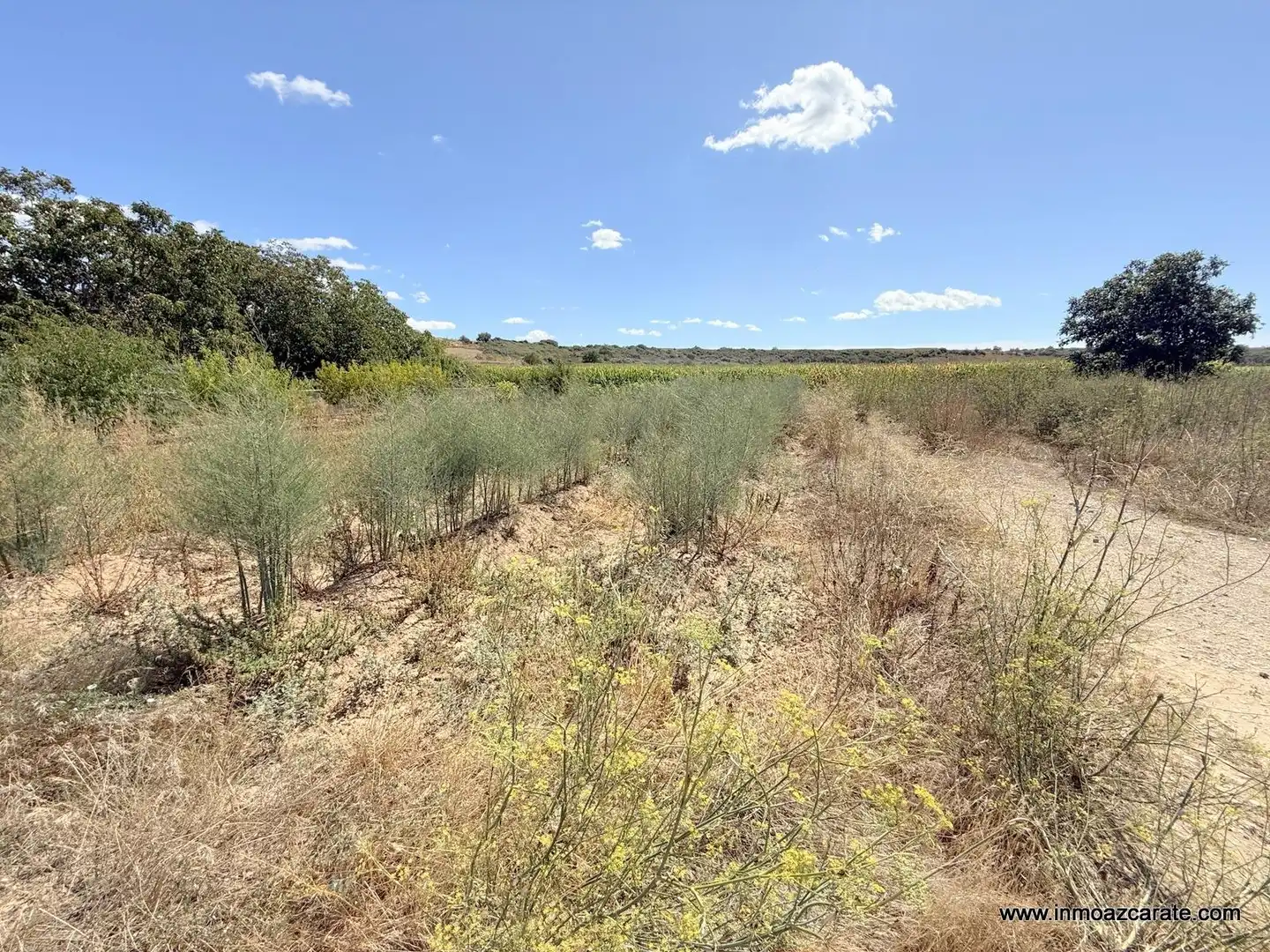 Finca rústica en venda en Larraga