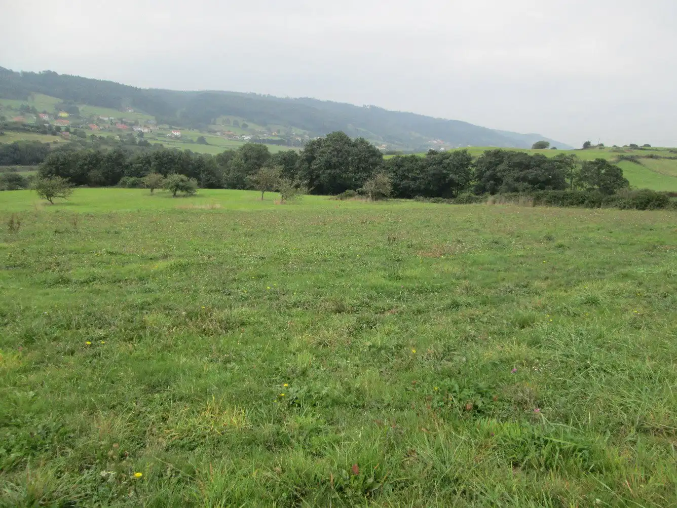 Terreno rustico in vendita a Carreño, imagen 2