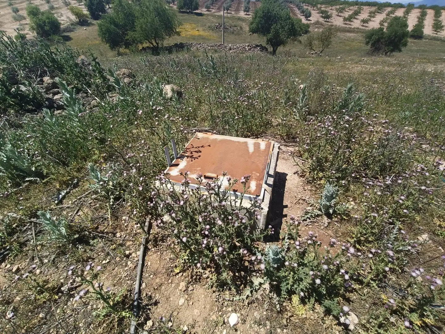Finca rústica en venta en Salar