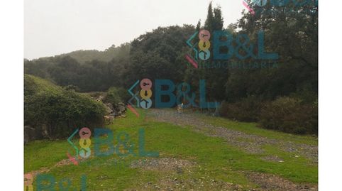 Foto 4 de Casa o xalet en venda a Jabugo, Huelva