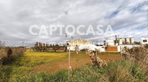 Foto 4 de Terreno en venta en Pasaje la Carrasca, Miranda, Cartagena