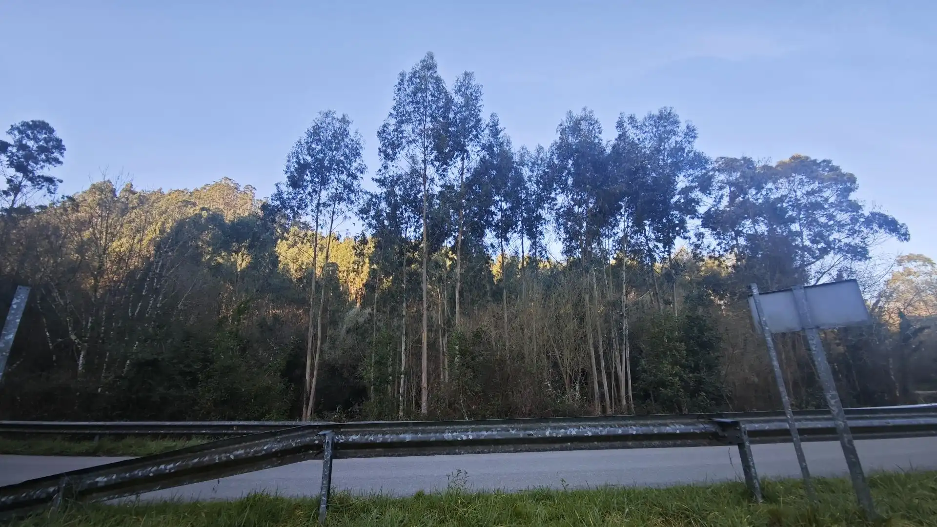 Terreno rustico in vendita a Pría - Nueva-Hontoria - Naves, imagen 17