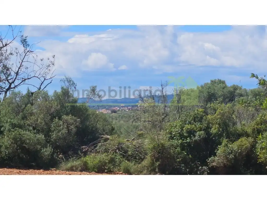 Terreny residencial en venda a Càlig, imagen 8