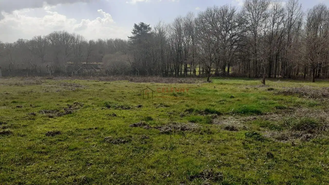 Terreni e lotti in vendita a Nogueira de Ramuín, imagen 7