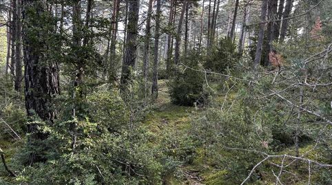 Terreno en venta en La Coma, imagen 2