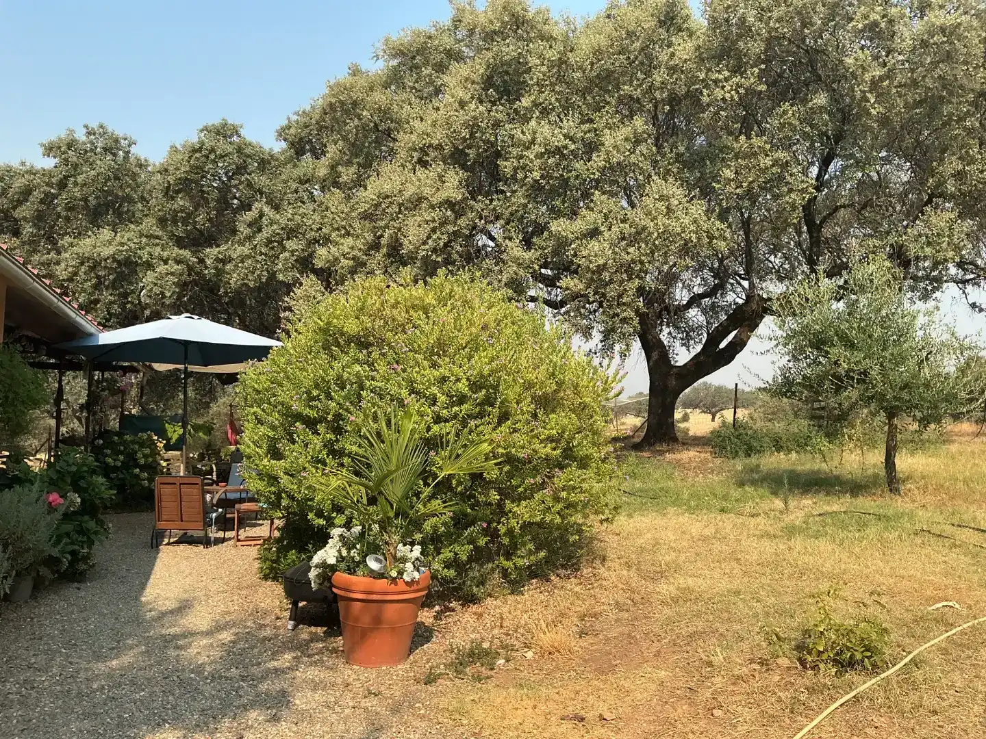 Jardí de Finca rústica en venda en Villasbuenas de Gata amb Aire condicionat, Traster i Piscina