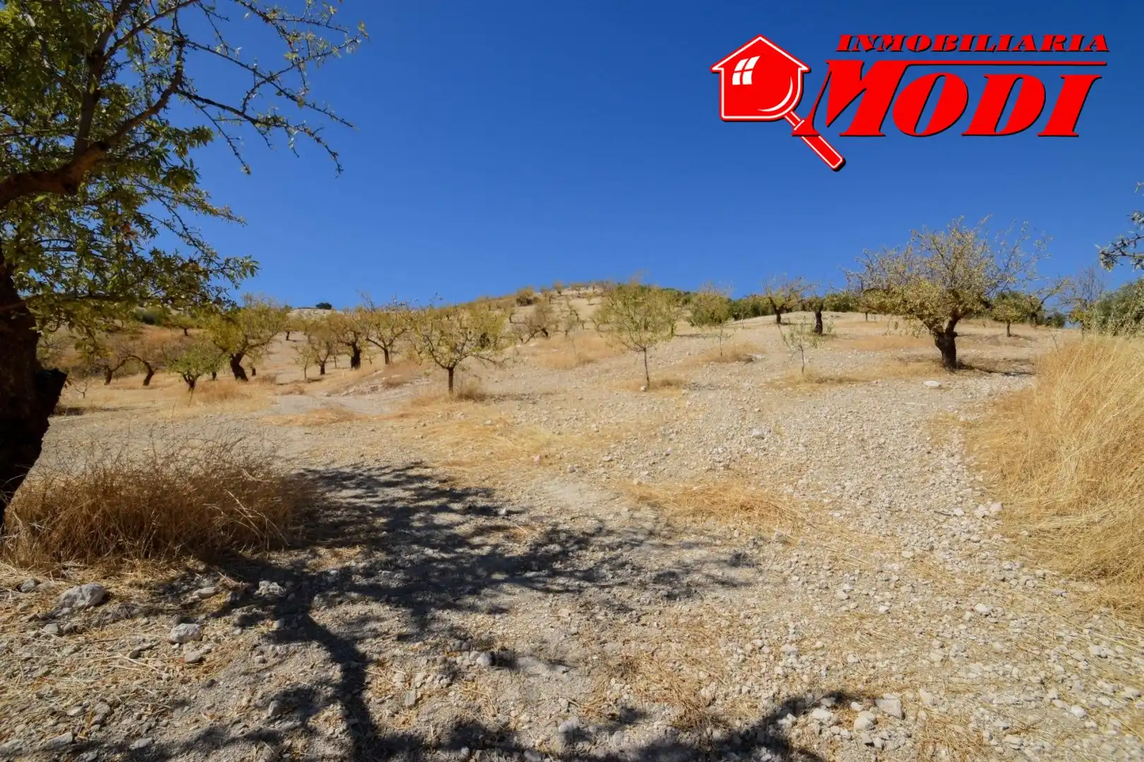 Finca rústica en venda en Cacín amb Jardí privat