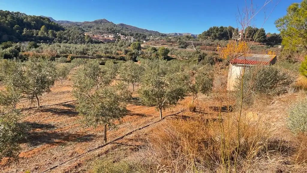Terreny rústic en venda a Carrer del Dimecres, imagen 23