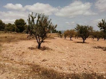 Terreno rustico in vendita a Caserio los Frailes 1