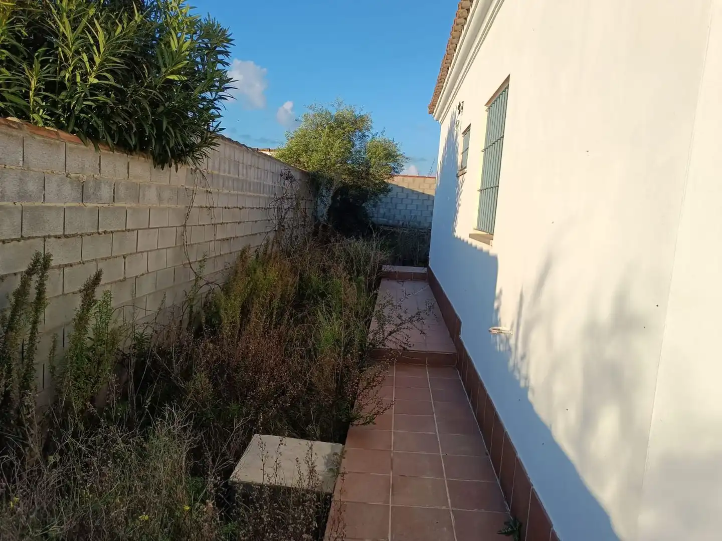 Jardí de Casa o xalet en venda en Chiclana de la Frontera