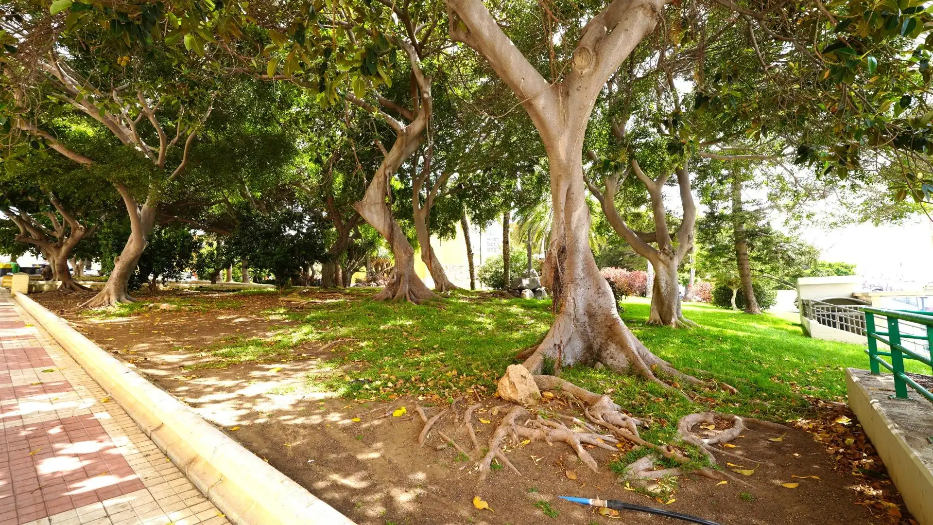 Vista exterior de Pis en venda en Las Palmas de Gran Canaria amb Traster