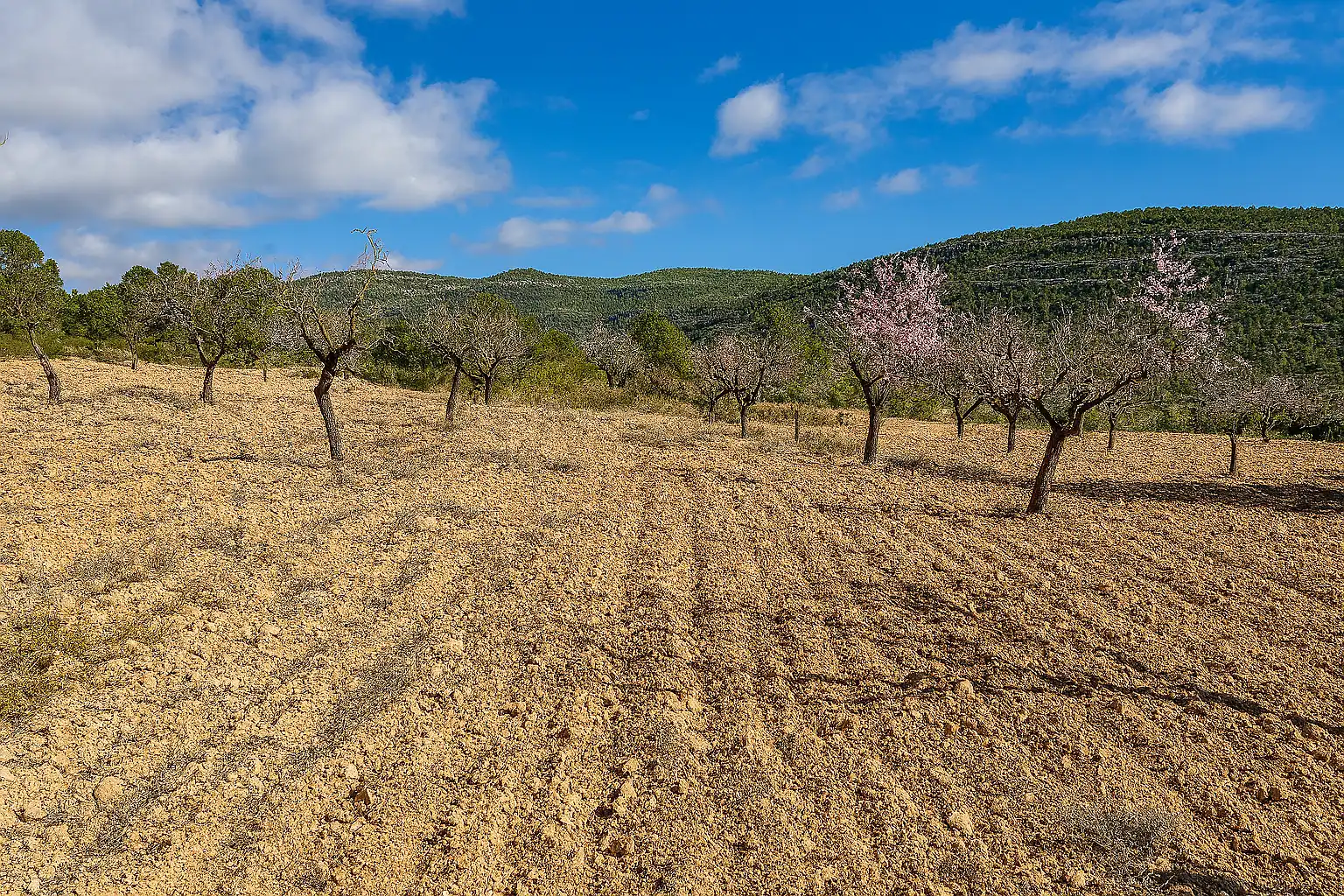 Residencial en venta en La Font de la Figuera