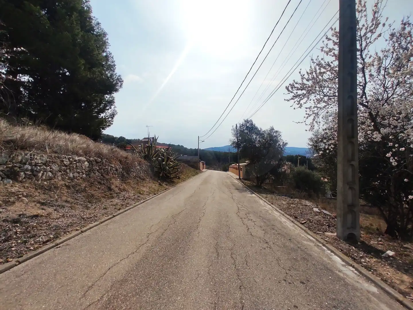 Terrenys i solars en venda a La Bisbal del Penedès, imagen 11