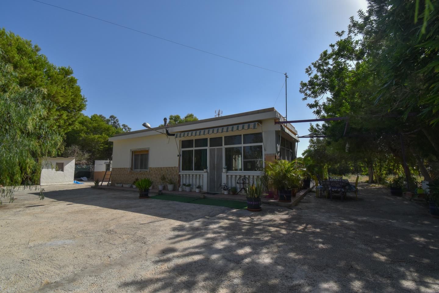 Vista exterior de Finca rústica en venda en Elche / Elx amb Jardí privat i Piscina