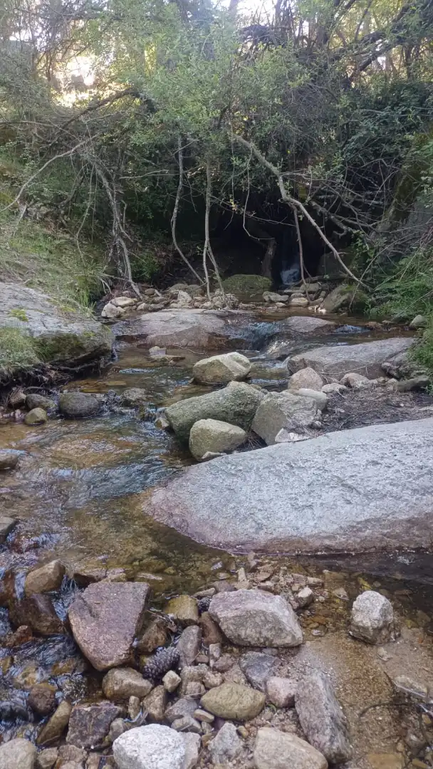Terreny rústic en venda a Carretera de La Jarosa 1, imagen 5