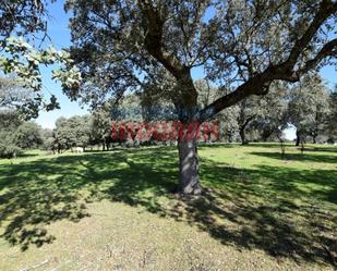 Finca rústica en venda en Valdehúncar