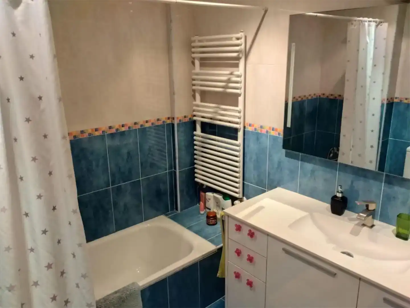 Bathroom of Detached homes for rent in Areatza  with Private garden, Parquet flooring and Furnished