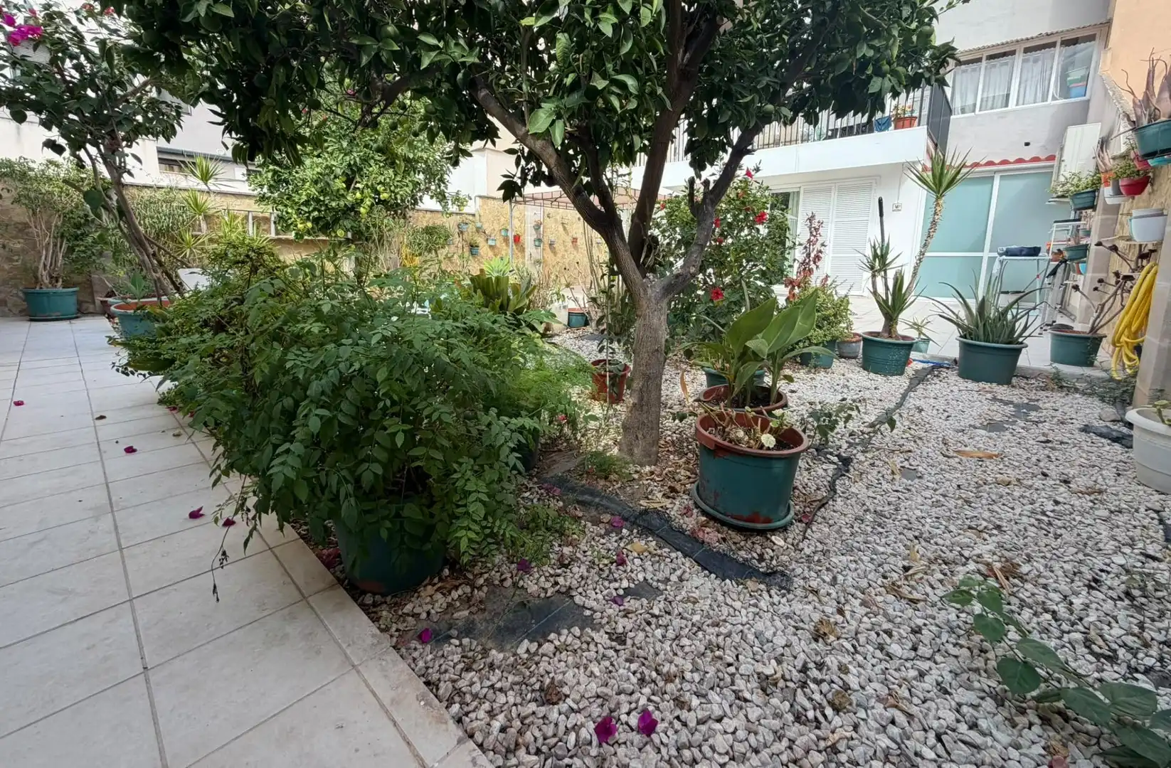 Bajo con jardín en venta en Nord, imagen 43