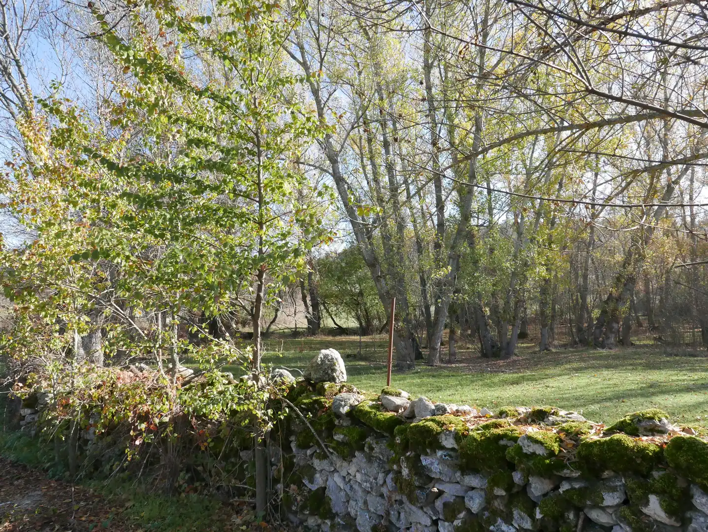 Garden of Land for sale in Santo Tomé del Puerto