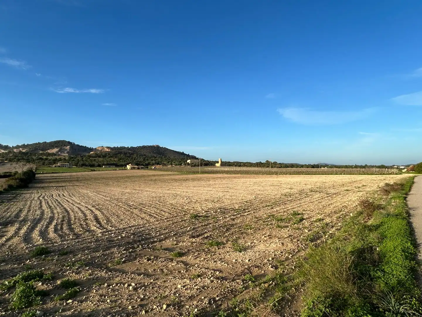 Terreny residencial en venda a Porreres, imagen 3