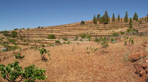 Foto 3 de Terreno en venta en Arona pueblo, Arona