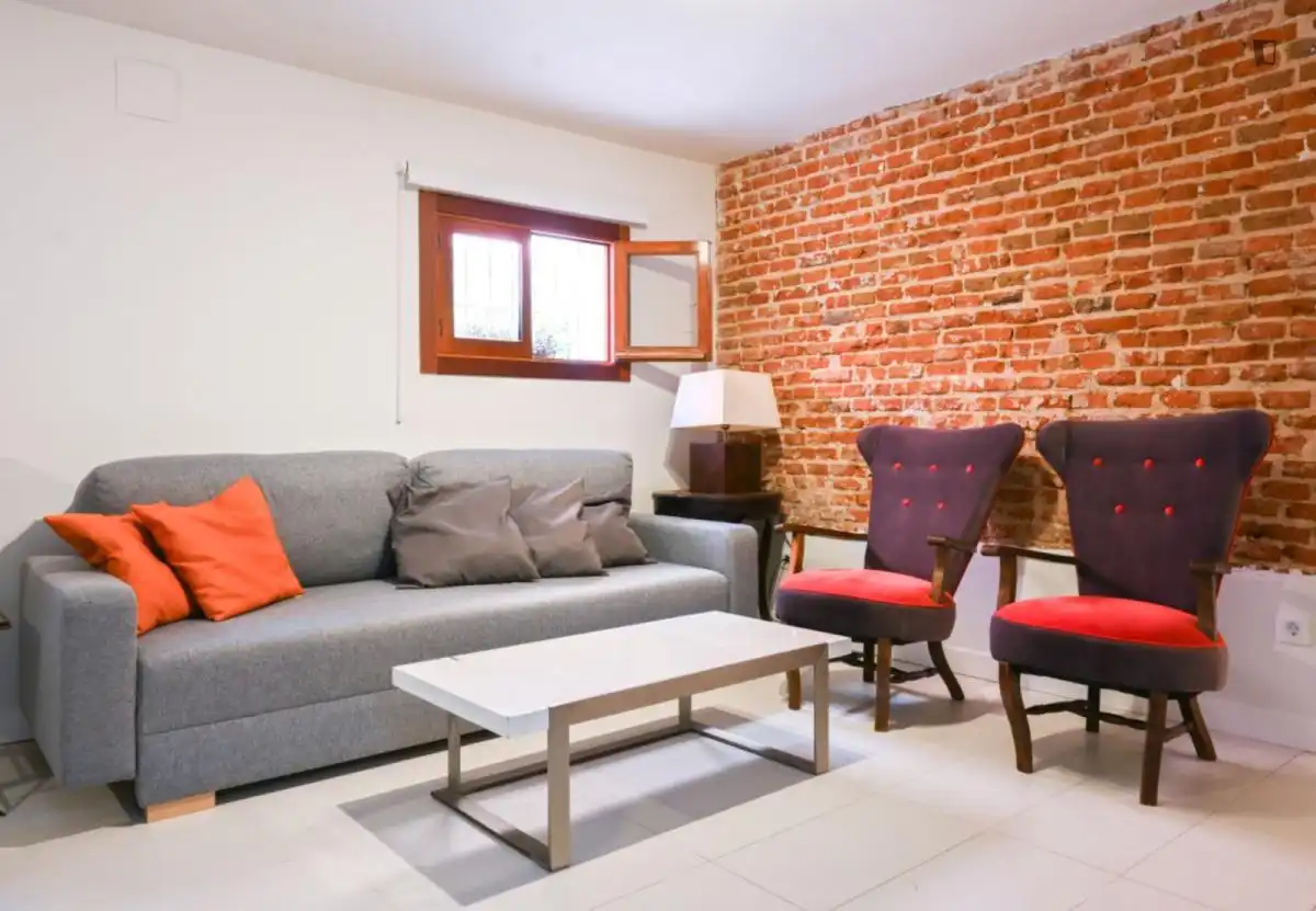 Sala d'estar de Apartament de lloguer en Madrid amb Calefacció, Moblat i Forn