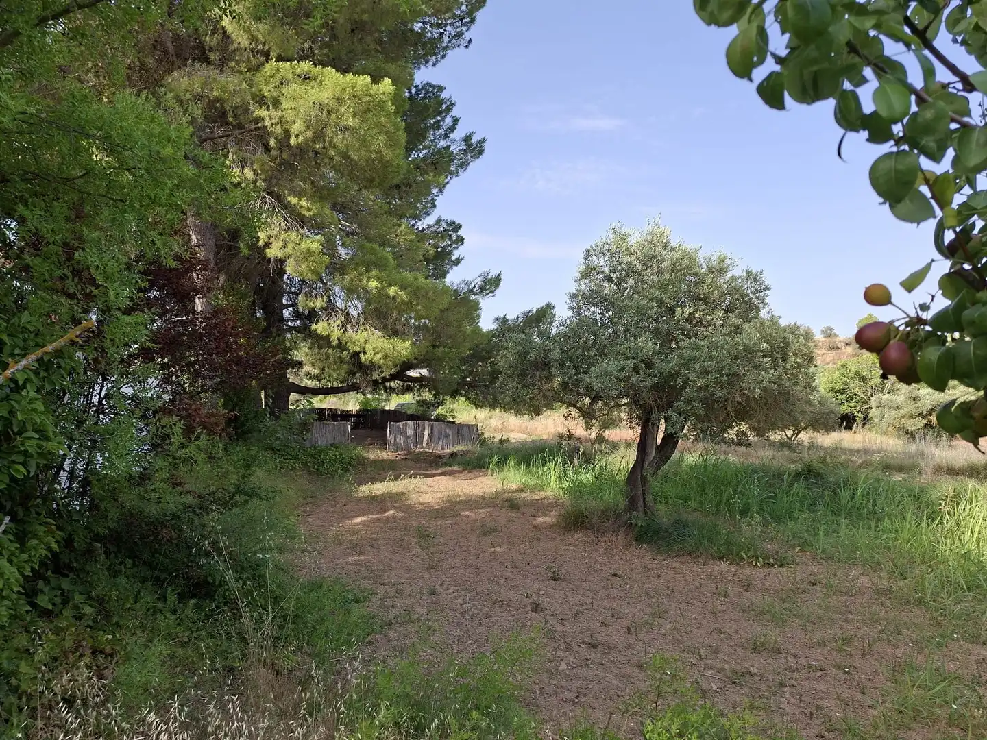 Country homes for sale in Caspe  with Private garden, Swimming Pool and Furnished