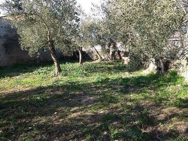 Wohnbaugrundstück zum Verkauf in Villaralto