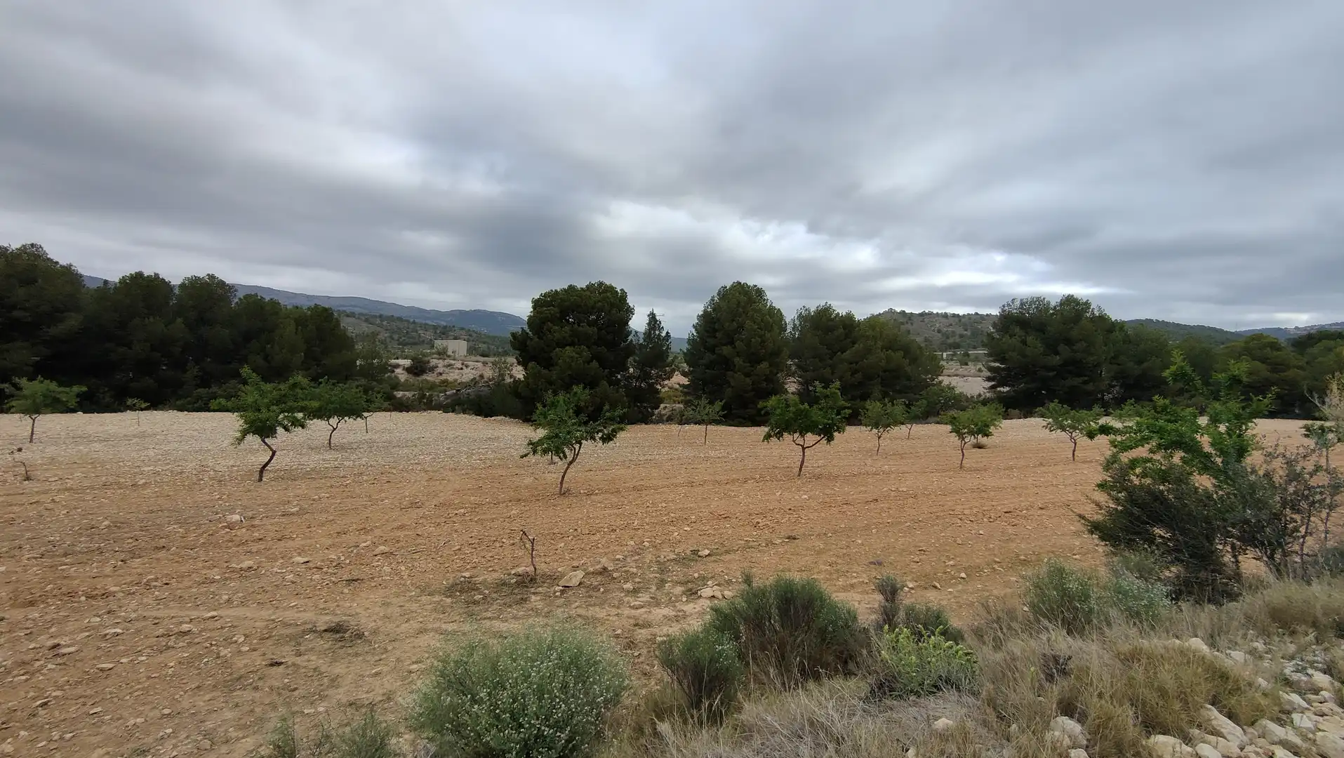 Terreno rustico in vendita a Plaça Poligono 3 271, imagen 8