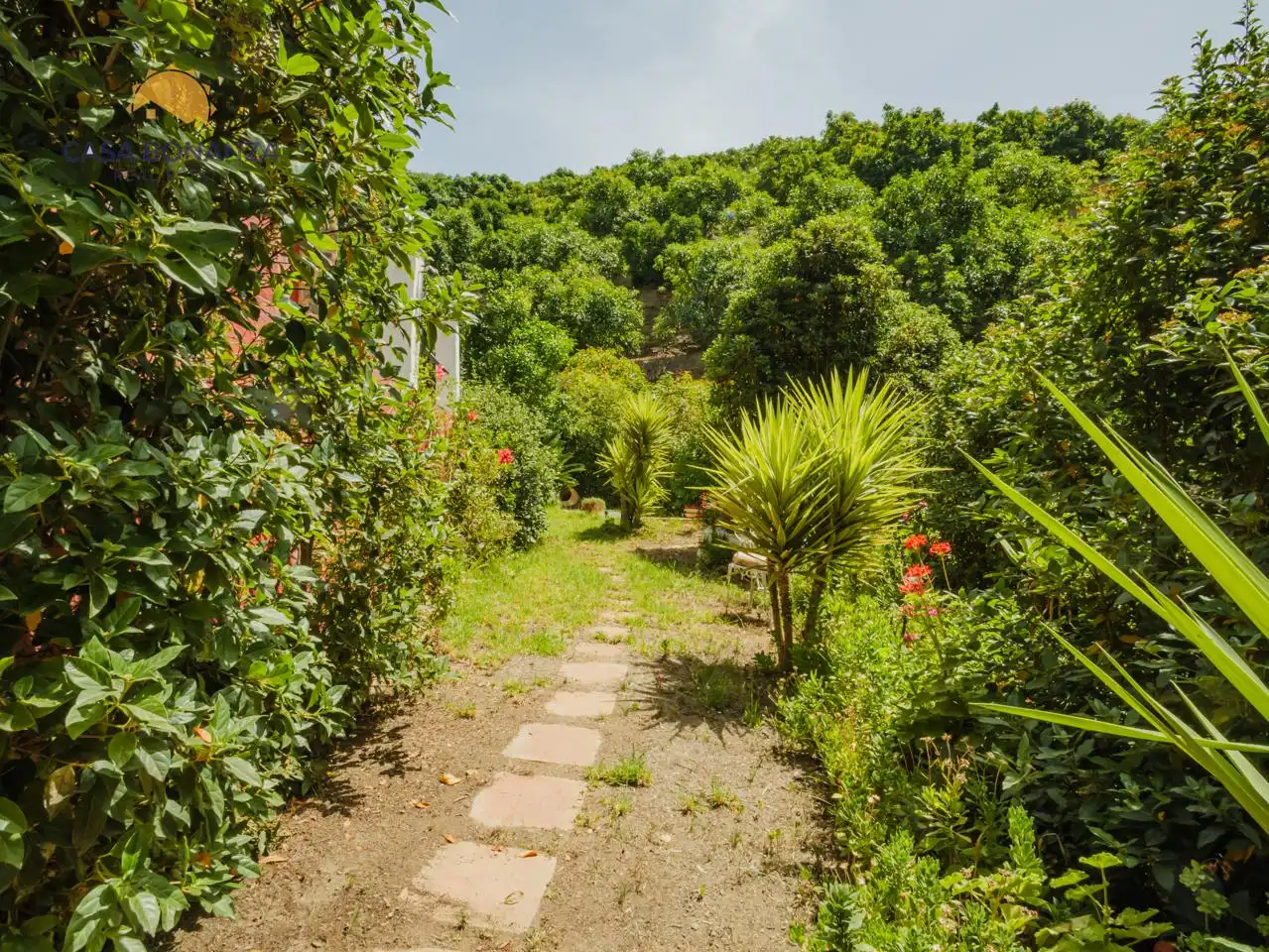 Jardín de Finca rústica en venta en Jete con Aire acondicionado, Jardín privado y Terraza