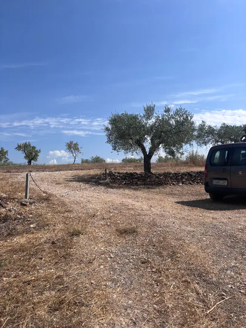 Rural land for sale in N/A, imagen 14