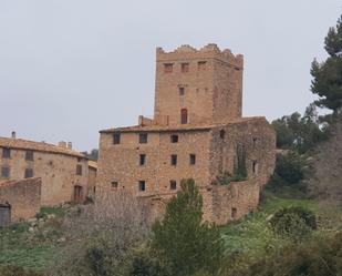 Vista exterior de Casa o xalet en venda en Tivissa
