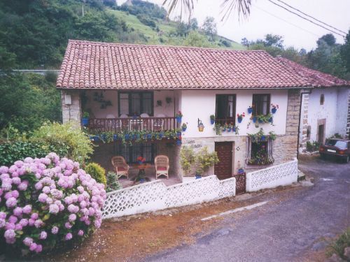 Exterior view of House or chalet for sale in Peñamellera Baja  with Private garden, Terrace and Storage room