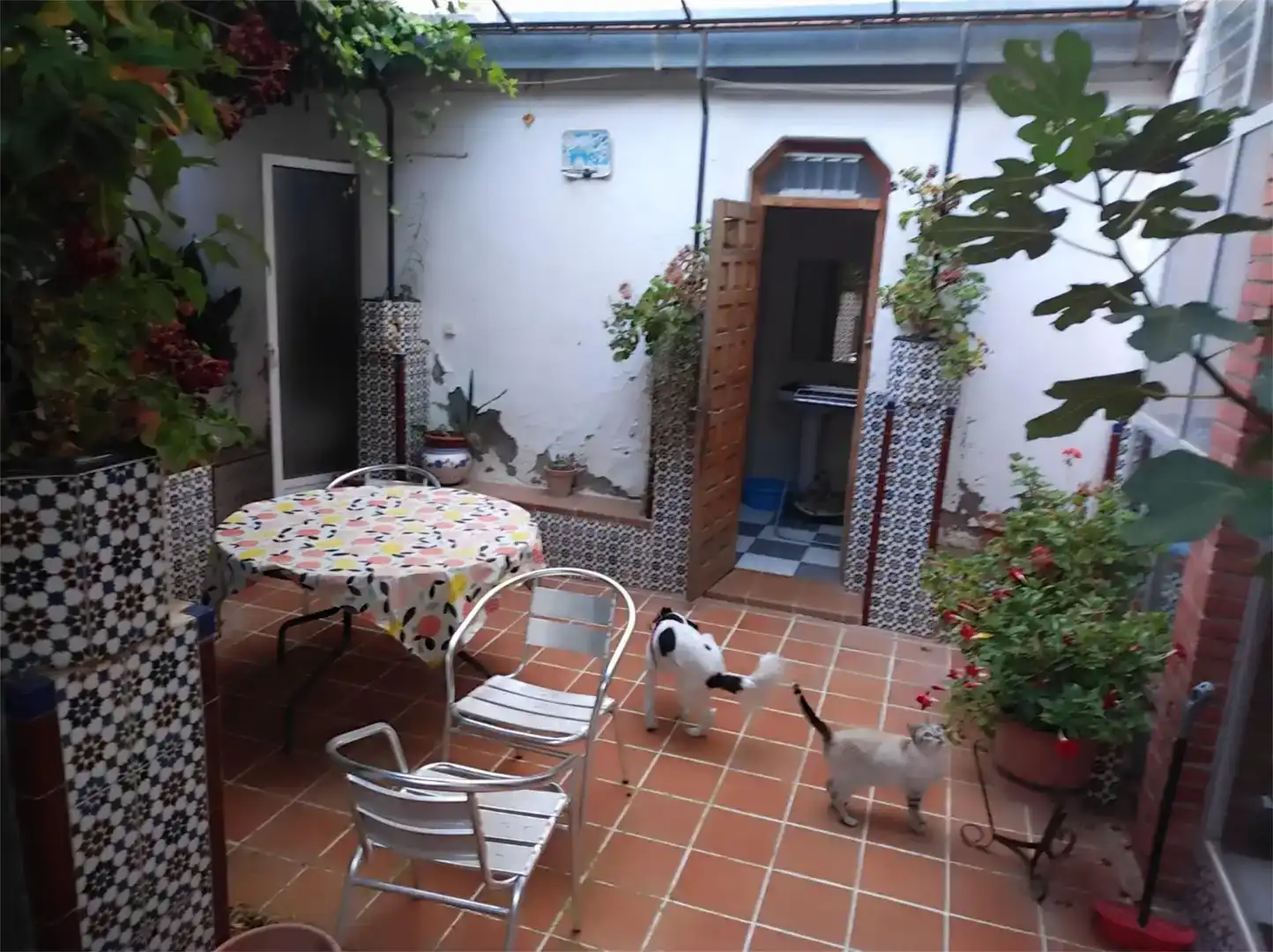 Jardí de Casa adosada en venda en Onil, Alicante