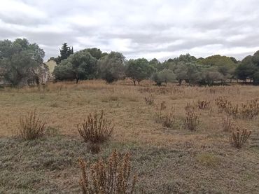 Terreny residencial en venda a Llevant
