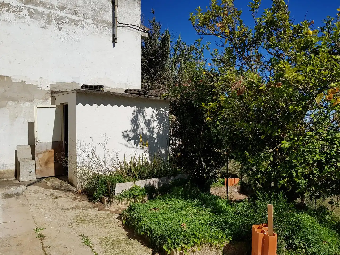 Jardín de Casa o chalet en venta en Teror con Jardín privado