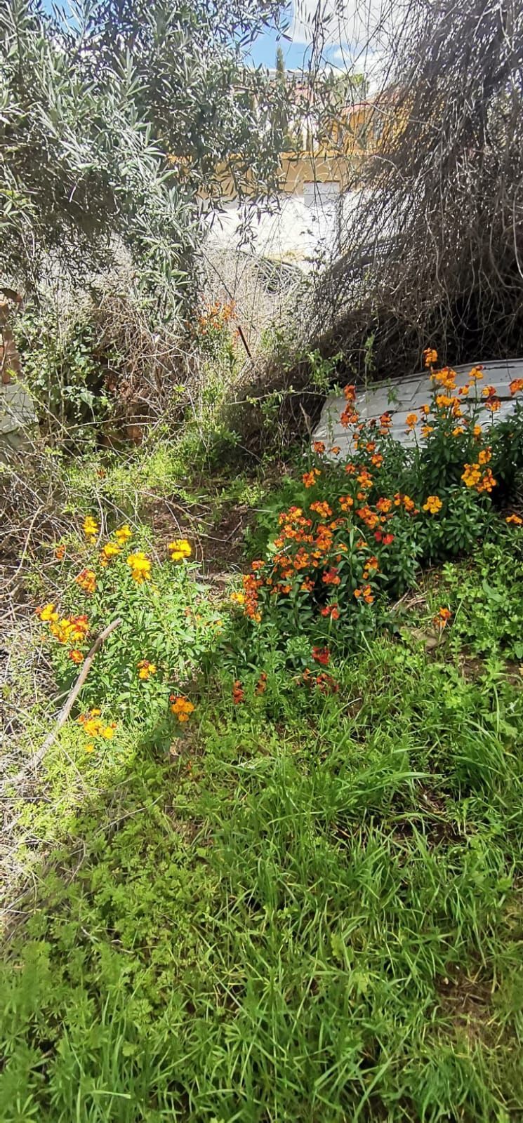 Jardí de Residencial en venda en Colmenar de Oreja