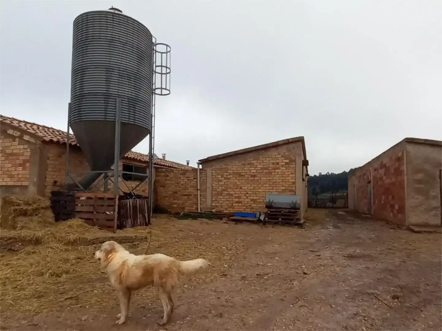 Nau industrial en venda en Horta de Sant Joan