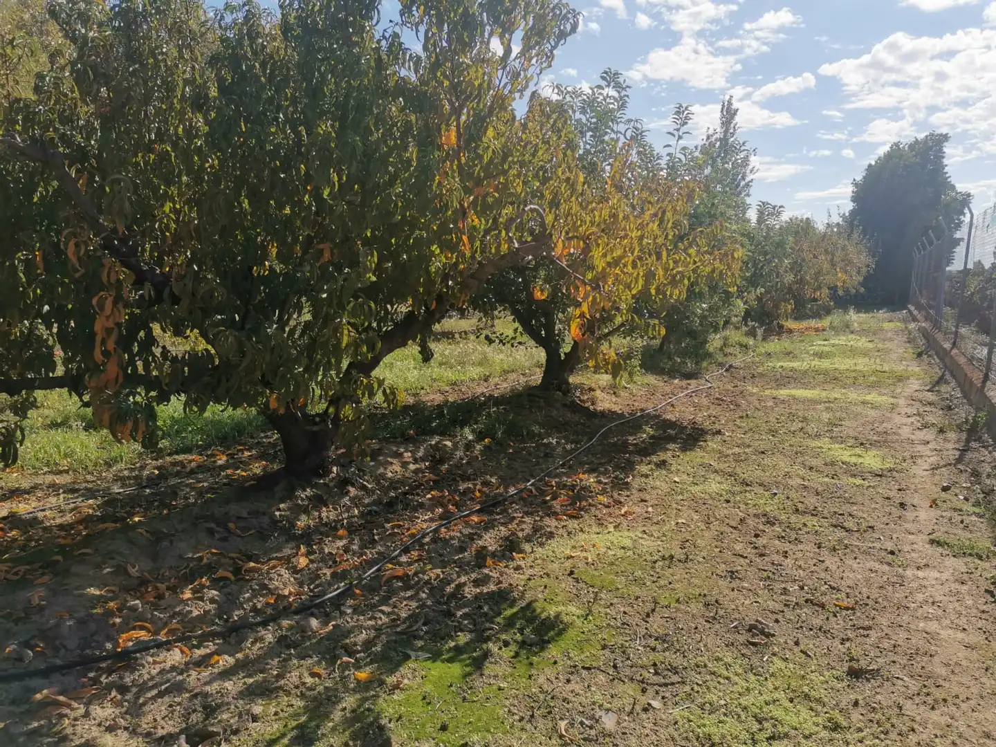 Terreni e lotti in vendita a Poblado Villanueva de la Serena 48, imagen 7