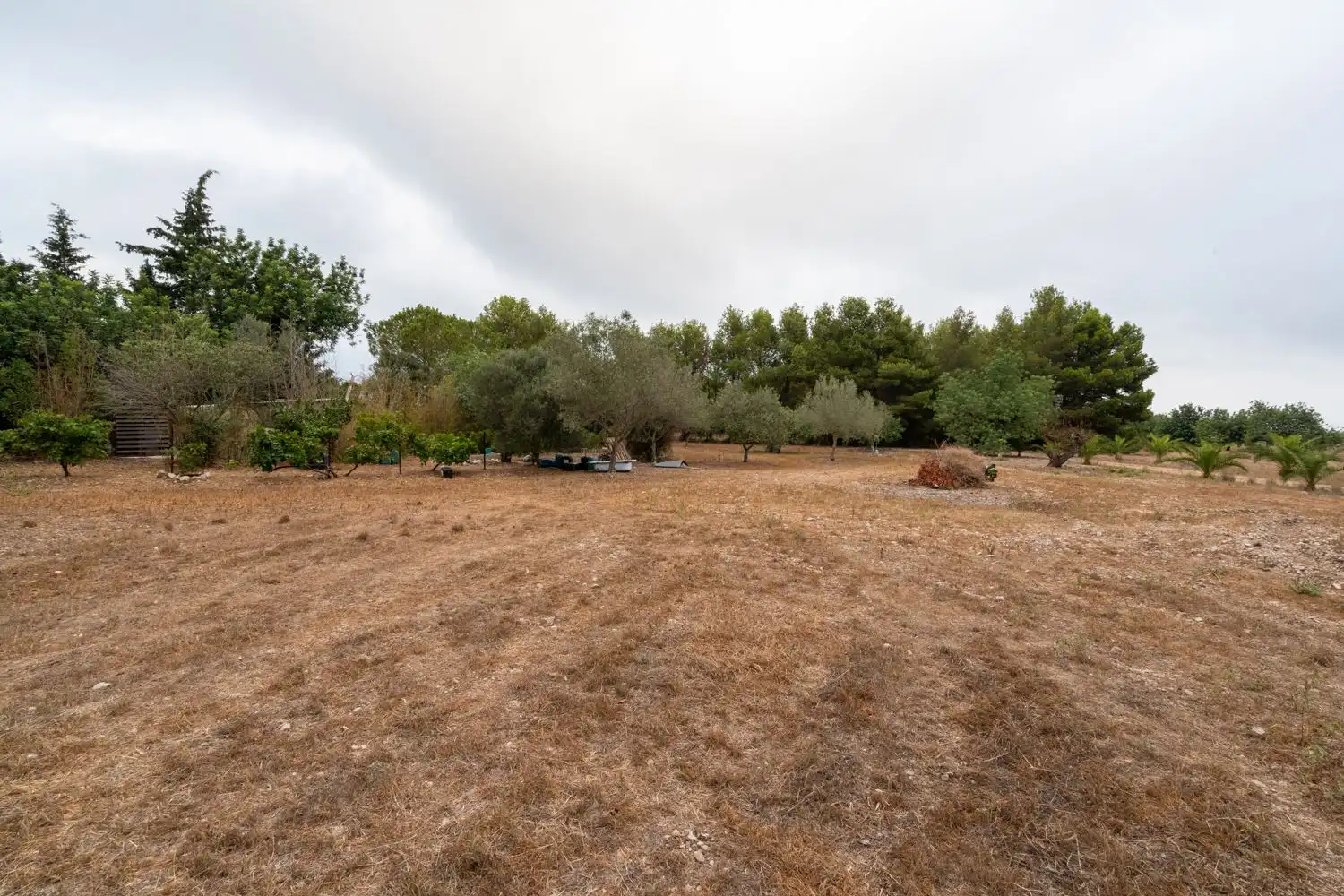 Terrain rustique à vendre à Roquetes, imagen 31