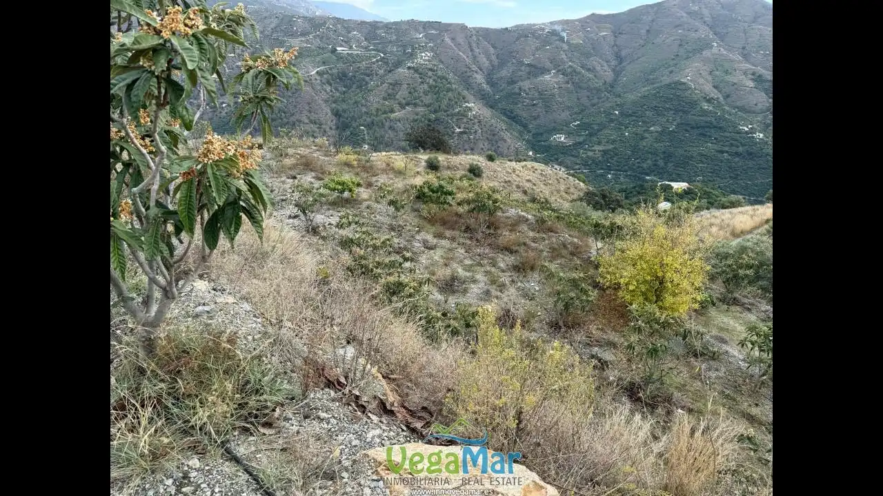 Terreny rústic en venda a Polígono 4, imagen 3