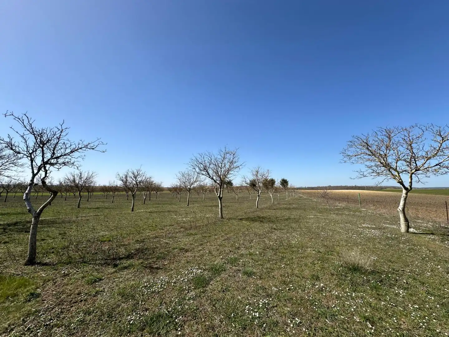 Houses for sale in Arlanzón  with Private garden