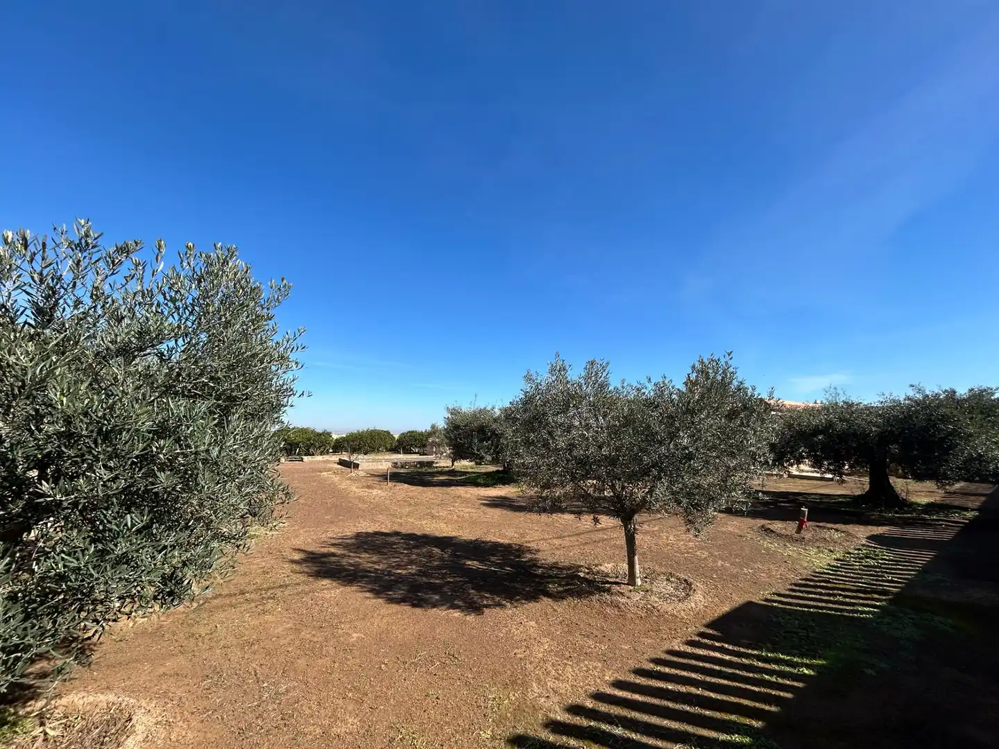 Finca rústica en venta en Cartagena con Jardín privado, Terraza y Trastero