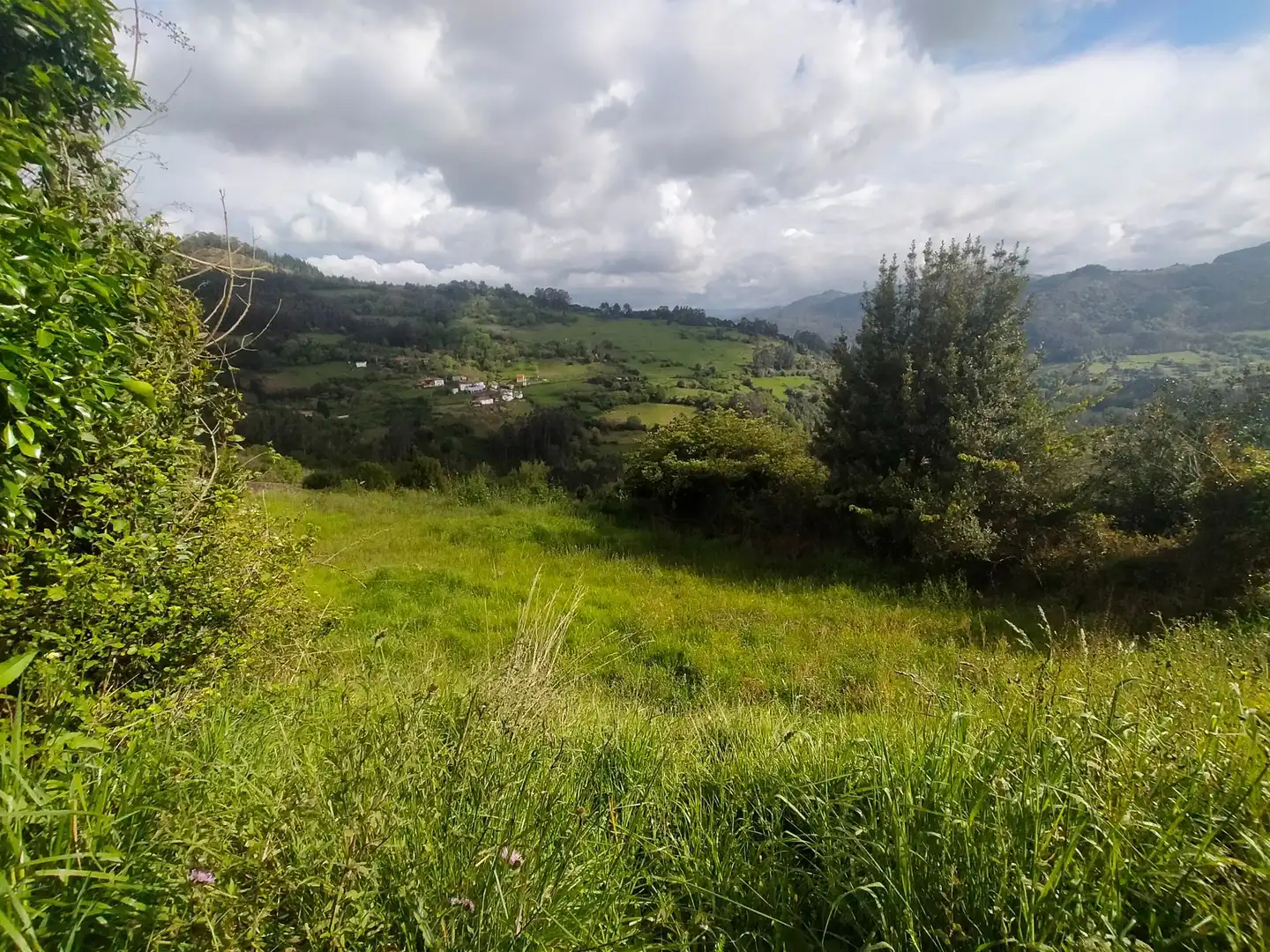 Terrenys i solars en venda a Candamo, imagen 2