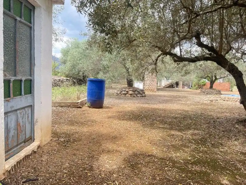 Terreno rustico in vendita a Plaça del Regne d'Espanya 8, imagen 10