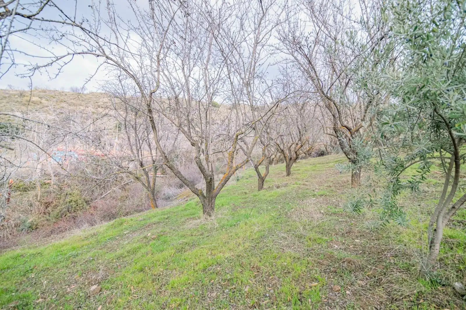 Lands and plots for sale in Autovia Pinos Genil, imagen 18