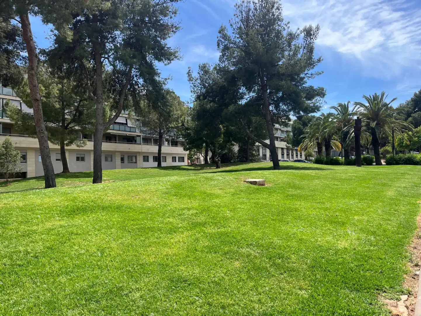 Pis de lloguer a Zona Avenida Alta - Auditorio